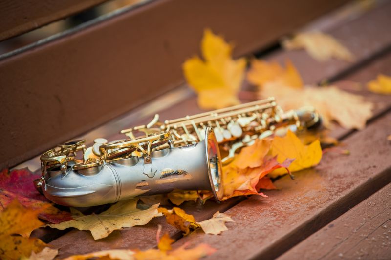 Master a versatile instrument for various music styles